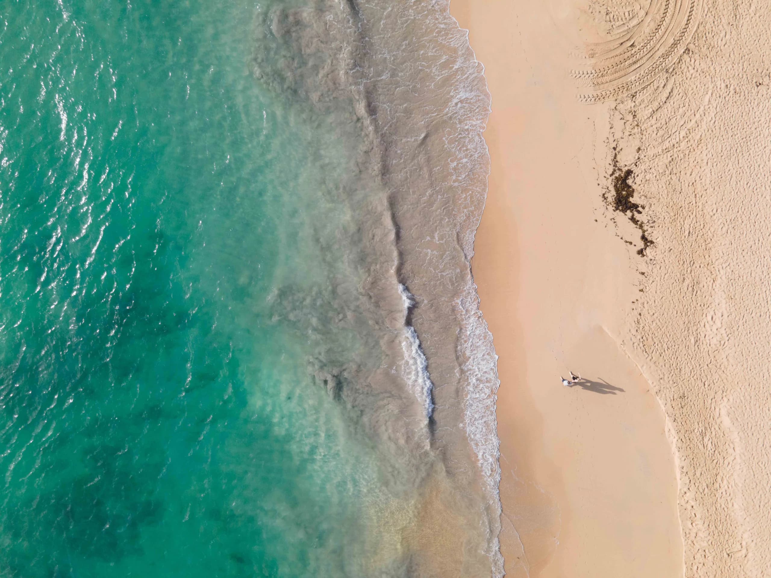 Discover the stunning turquoise waters and serene sandy shores of a Dominican Republic beach from above.